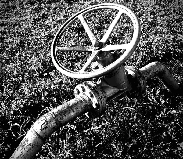 Válvula para desligar o tubo para o gerenciamento da planta — Fotografia de Stock