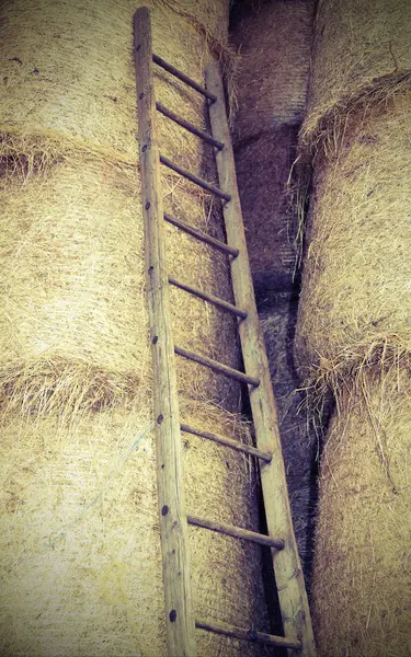 Scala in legno nel fienile dell'azienda agricola — Foto Stock