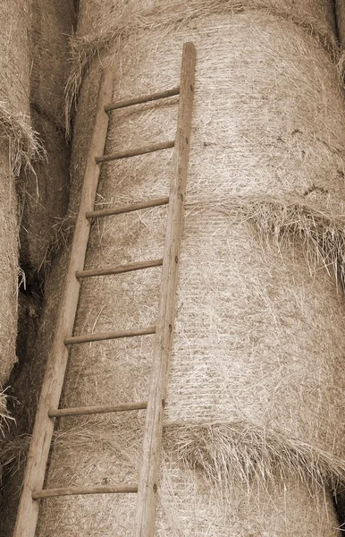 Scala in legno nel fienile dell'azienda agricola — Foto Stock