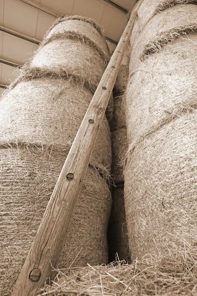 Wood ladder in the barn of the farm — Stock Photo, Image