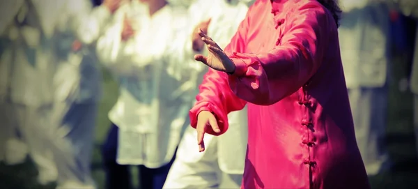 Tai Chi kampsport kvinna med rosa sidenklänning utföra exerc — Stockfoto