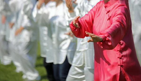 Bojové umění Tai Chi žena s růžové hedvábné šaty provést exerc — Stock fotografie