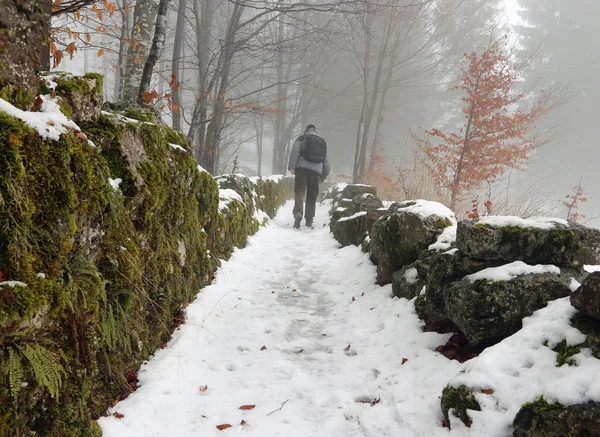 Lone walker in the mountain path with snow — Stock Photo, Image