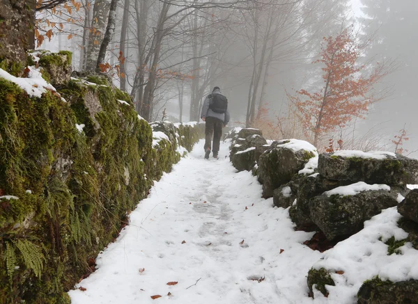 Lone walker in the mountain path — Stock Photo, Image