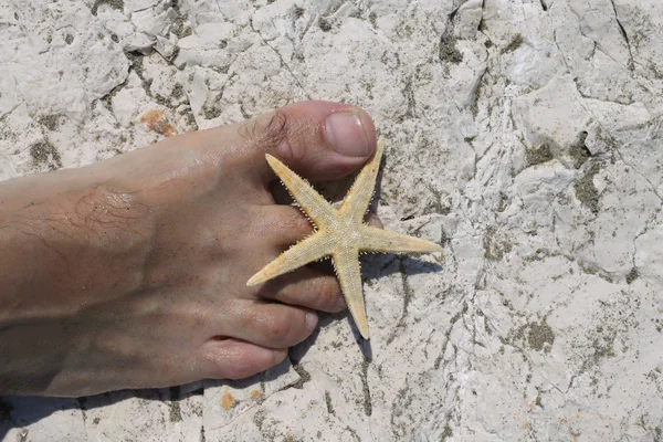 Big foot barefoot of a young man and starfish — Stock Photo, Image