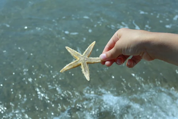 Niño sostiene en su mano la gran estrella de mar — Foto de Stock