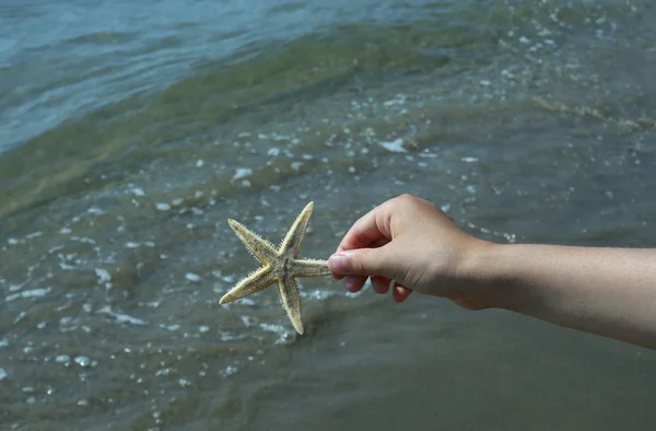 Niño sostiene en su mano la gran estrella de mar — Foto de Stock