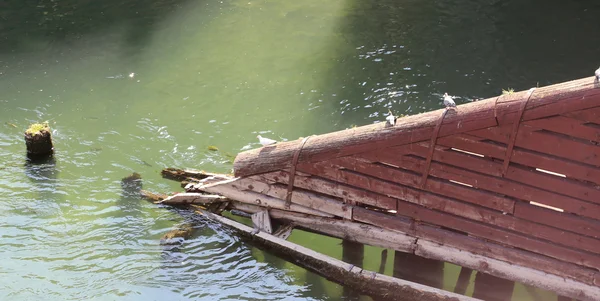 巴萨诺的老木桥 — 图库照片