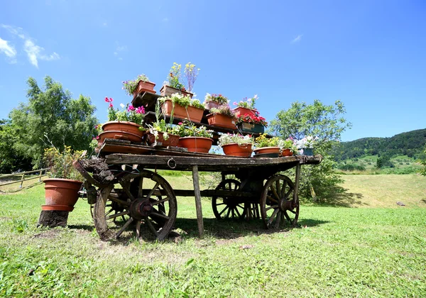 Carrito decorado con muchas macetas de flores — Foto de Stock