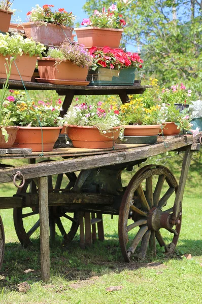 Detalj av en gammal trä vagn — Stockfoto