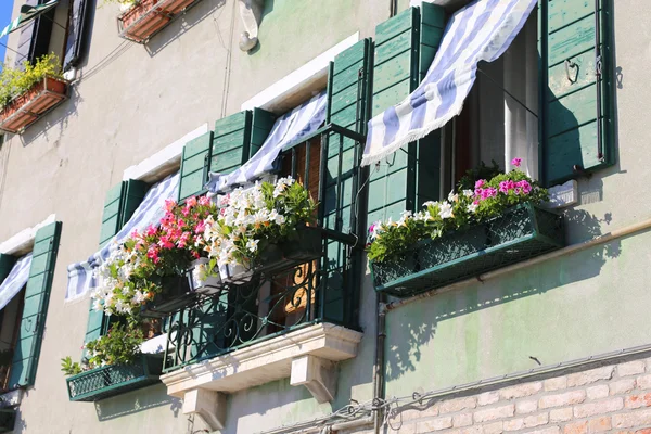 Blomstrande balkong med ett fönster i huset och många blomkrukor — Stockfoto