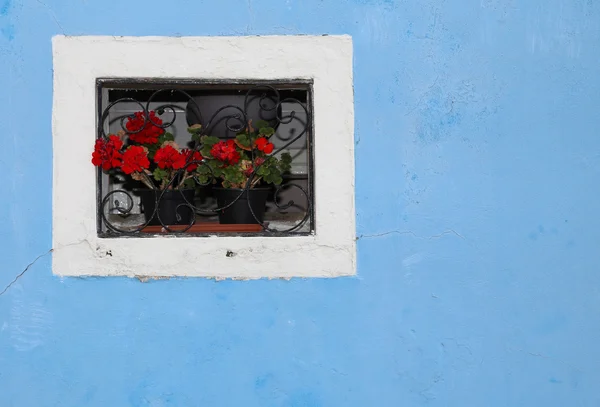 Květovaný balkon s oknem v domě a mnoha květináče — Stock fotografie