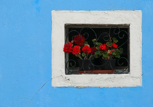 Bir pencere içinde ev ve birçok saksı ile çiçekli balkon — Stok fotoğraf