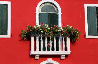 bir pencere içinde ev ve birçok saksı ile çiçekli balkon