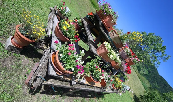 Vieux chariot en bois festonné avec de nombreux pots de fleurs dans le meado — Photo