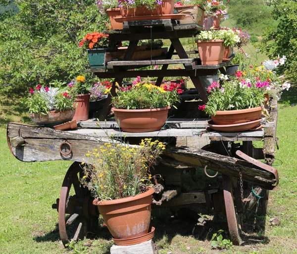 Detalj av en gammal trä vagn med många krukor — Stockfoto