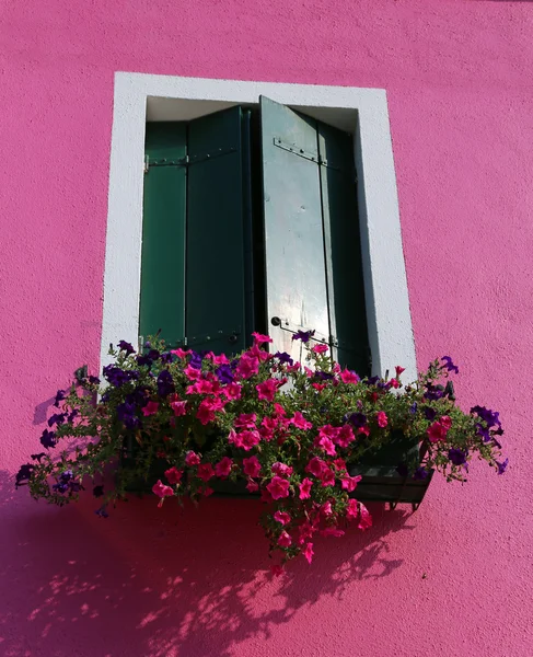 Varanda florida com uma janela na casa e muitos vasos de flores — Fotografia de Stock