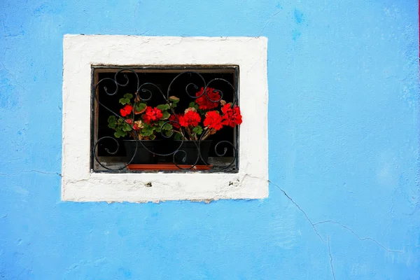 Bir pencere içinde ev ve birçok saksı ile çiçekli balkon — Stok fotoğraf