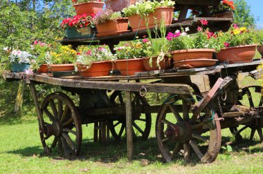 meado çiçek dolu birçok Demlikli kordonlarla eski ahşap sepeti
