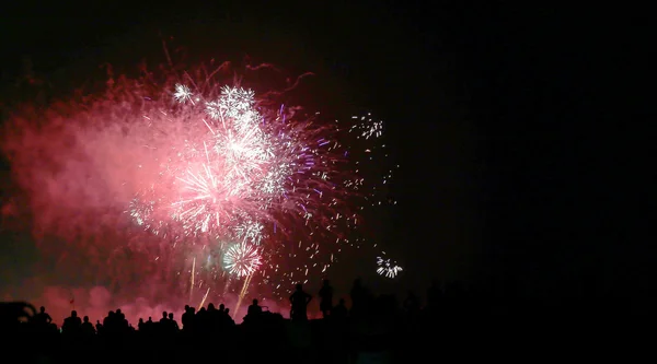 Show com grandes fogos de artifício coloridos na noite escura — Fotografia de Stock