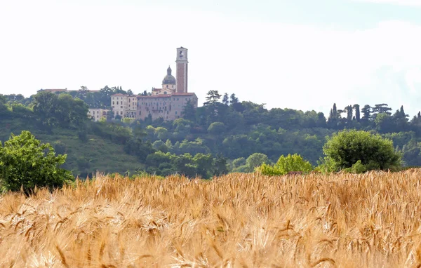Древнее святилище, посвященное Святой Марии и поле пшеницы — стоковое фото