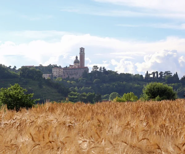 Древнее святилище, посвященное Святой Марии и поле с пшеницей — стоковое фото