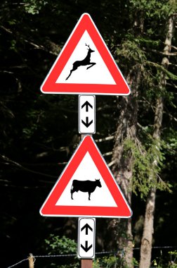 yol işaretleri orman dikkat geçiş hayvanlar inek ve de yakın: