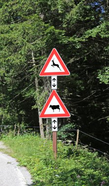 iki yol işaretleri ahşap dikkat geçiş hayvanlar yakınındaki