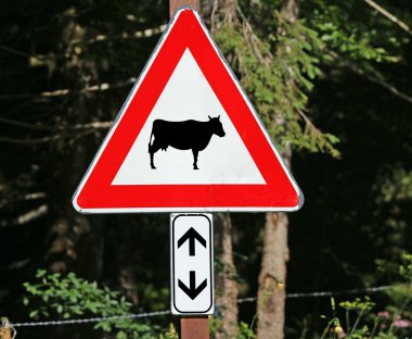 yol işaret geçiş inek dikkat