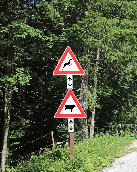 Deux panneaux routiers près de la forêt attention traversant les animaux — Photo