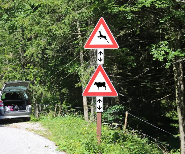 Deux panneaux de signalisation près de la forêt attention traversant animaux vache an — Photo