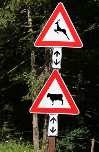 Verkeerstekens in de buurt van de houten Let op Overstekende dieren koe en herten — Stockfoto