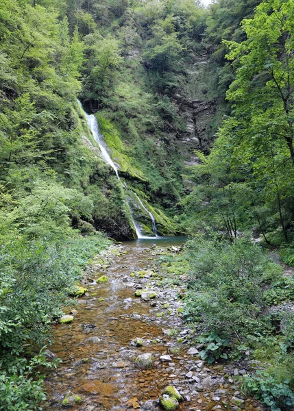 Pristine Natural Environment Beautiful Waterfall Middle Forest Stream Pure Water — Stock Photo, Image