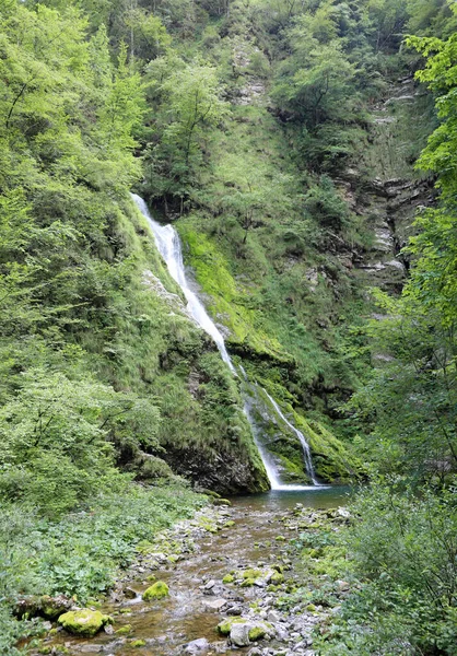 瀑布在未受破坏的大自然中间 在岩石之间流动 形成了一个水池 — 图库照片