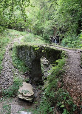 Antik Roma köprüsü ormanın ortasında insan olmadan nehri geçiyor.