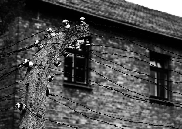 Starý Ostnatý Drát Který Označuje Hranici Koncentračního Tábora Používaného Během — Stock fotografie