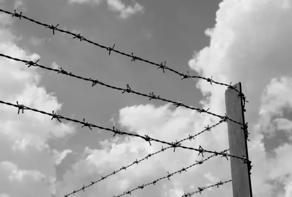 Protección Alambre Púas Frontera Prisión Con Efecto Blanco Negro —  Fotos de Stock