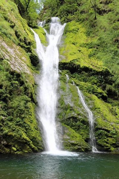 Pequeña Cascada Medio Del Exuberante Bosque Con Agujero Agua Limpia —  Fotos de Stock