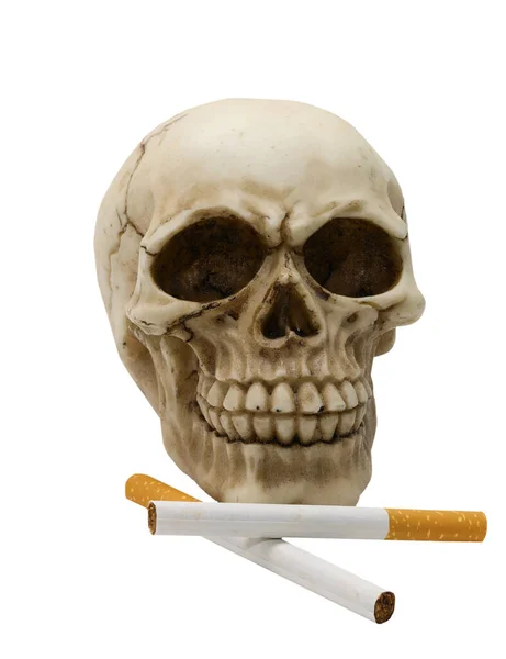 Crânio Humano Com Cigarros Símbolo Morte Causada Pelo Hábito Fumar — Fotografia de Stock