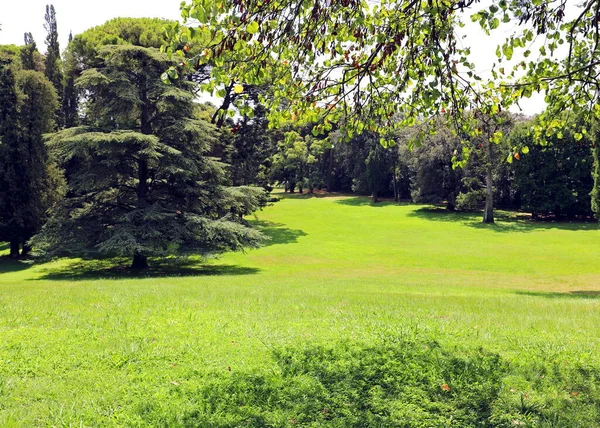 Giardino Verde Europa Con Grandi Alberi — Foto Stock