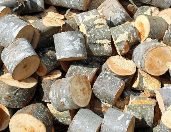 Background Heap Big Wooden Logs Cutted Trunks — Stock Photo, Image