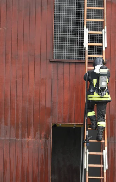 Brandweerman Tijdens Het Uitvoeren Van Een Operatie Lange Houten Ladder — Stockfoto