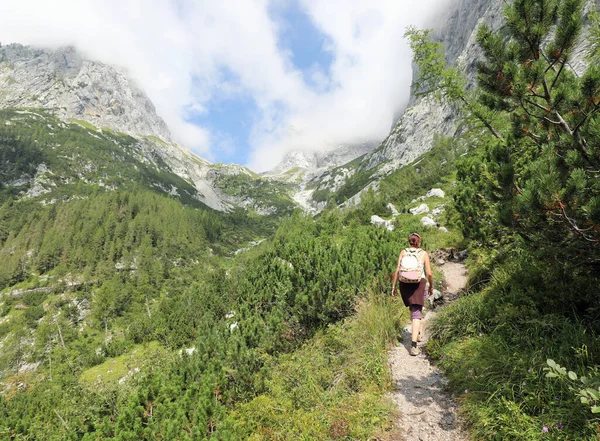 Junge Frau Wandert Den Bergen Zwischen Alpen Und Latschenkiefern — Stockfoto