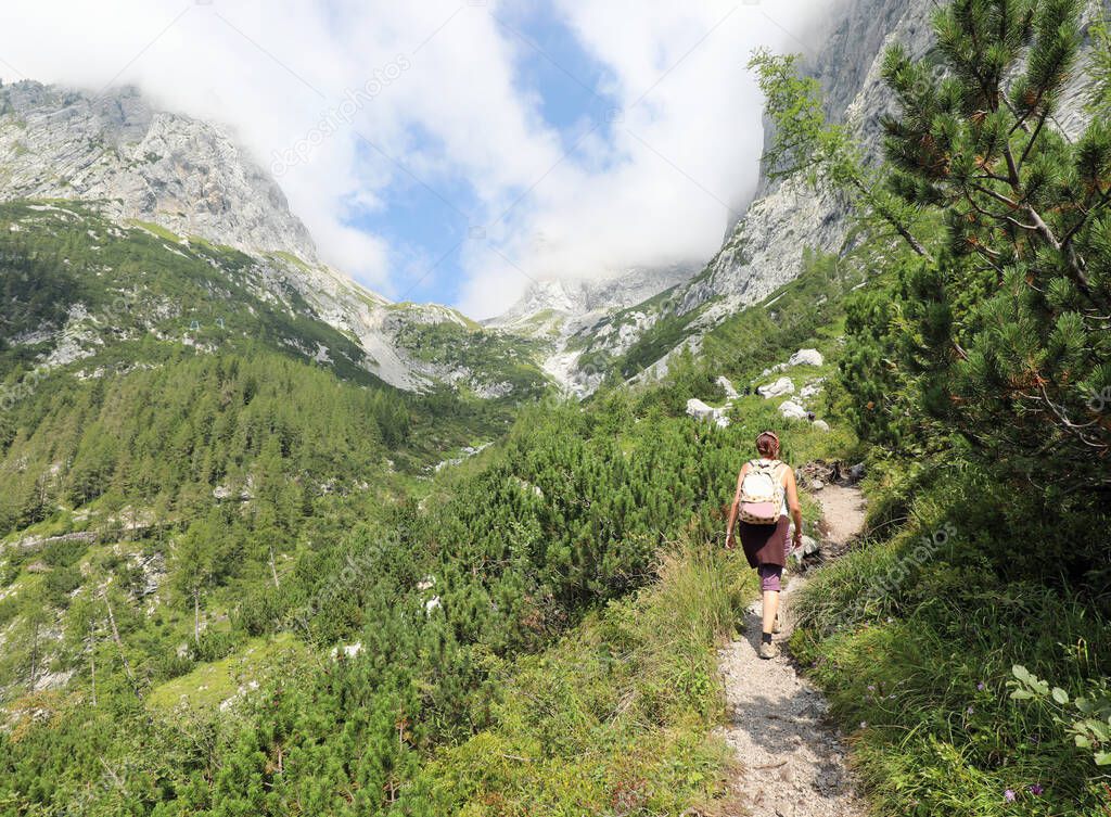 young woman walks in a trail while hiking in the mountains between the Alps and the mountain pines