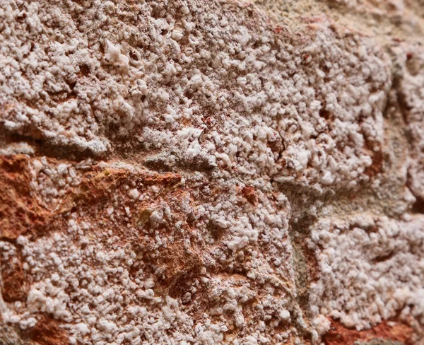 Λευκό Αλάτι Που Καταστρέφει Τείχος Του Κτιρίου Που Εκτίθεται Ατμοσφαιρικούς — Φωτογραφία Αρχείου