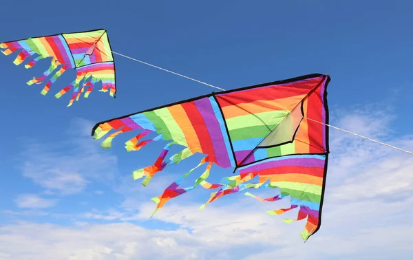 两只令人难以置信的五彩缤纷的风筝在高高的天空中飞翔 象征着自由和光明 — 图库照片
