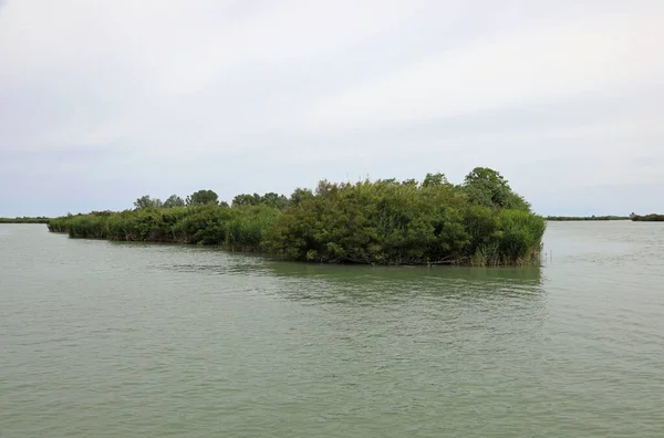 アドリア海の近くにある偉大なポー川の河口に植生の小さな島 — ストック写真