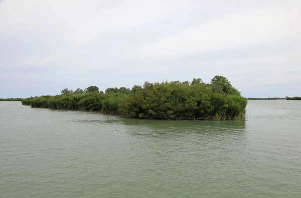 Petit Îlot Avec Végétation Sur Embouchure Grand Fleuve Près Mer — Photo