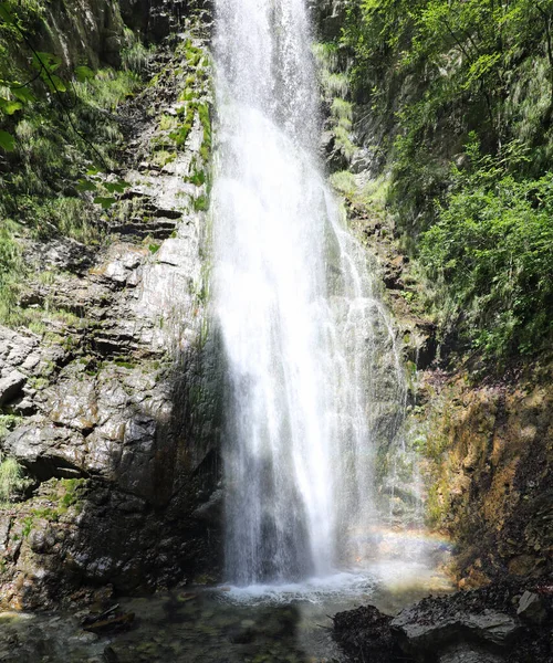 緑豊かな森の真ん中にある滝の水は — ストック写真