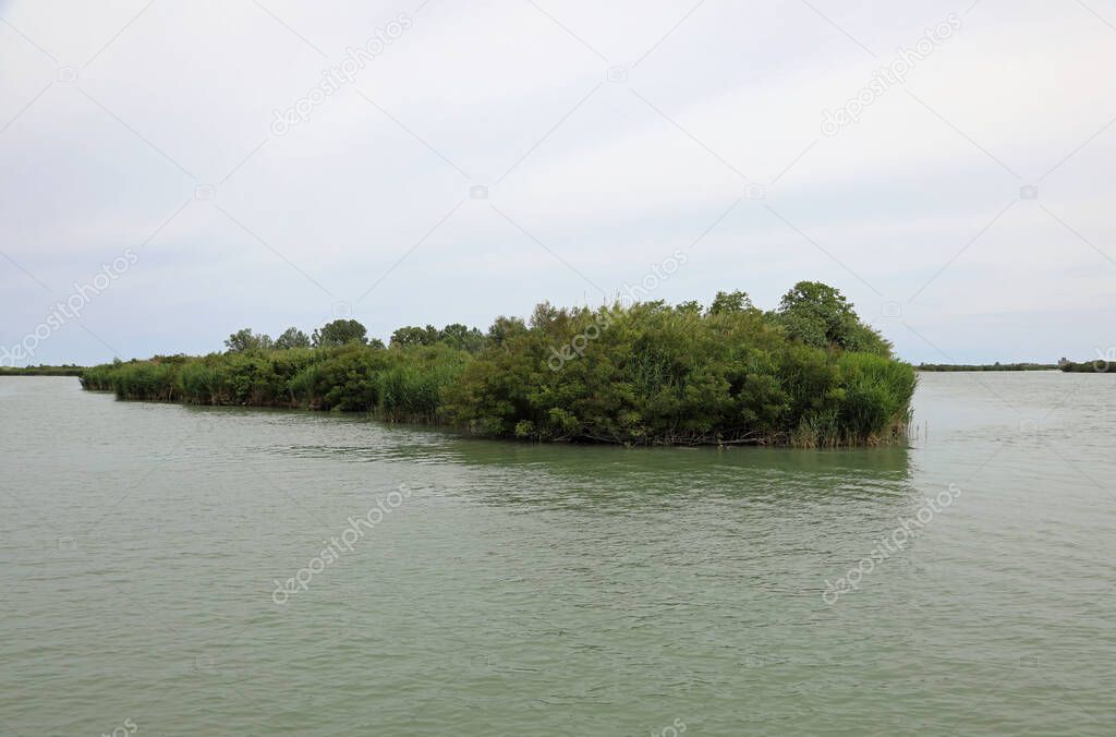 small islet with vegetation on the mouth of the great river Po near the Adriatic sea